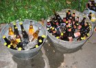 IMG 2919
