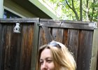 IMG 0380