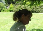 IMG 0526