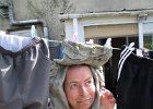 IMG 1384
