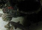 IMG 2727