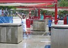 IMG 2737
