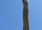 IMG 2743