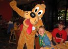 IMG 2754