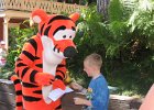 IMG 2768