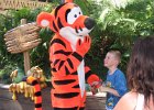 IMG 2770