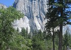 IMG 2862
