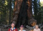 IMG 2876