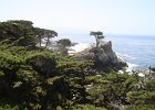IMG 2769
