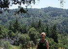 IMG 2785