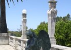 IMG 2834