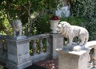 IMG 2843