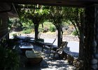 IMG 0416