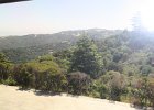 IMG 0419