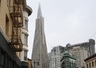 IMG 0483