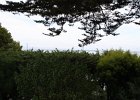 IMG 0485