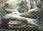 IMG 0493