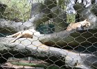 IMG 0494