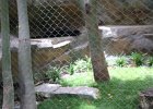 IMG 0495