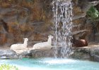 IMG 0499