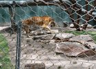 IMG 0512