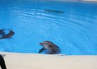 IMG 0516
