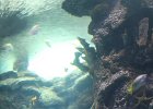 IMG 0525