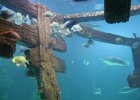 IMG 0528