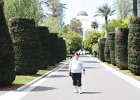 IMG 1764