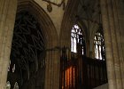 IMG 1356