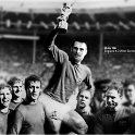 three lions