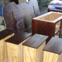 staining