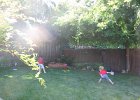 IMG 2587