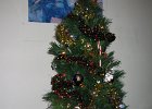 IMG 0054
