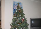 IMG 3233