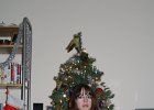 IMG 0232