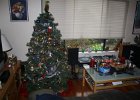 IMG 2937