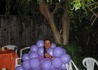 IMG 1438