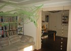 IMG 3002
