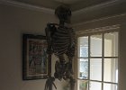 IMG 3003