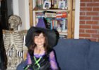 IMG 0866