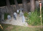 IMG 0870