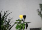 IMG 0875