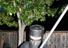 IMG 0895