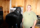 IMG 0908