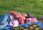 IMG 2151