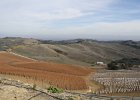 IMG 2469