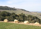 IMG 2478