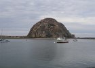 IMG 2514