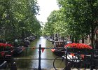 141-4115 IMG